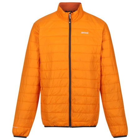 Herrenjacke Regatta Hillpack orange Orange Pepper(Burnt Copper)
