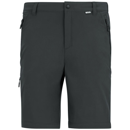 Herrenhose Regatta Anti-Insect Travel Light Z/O Trousers