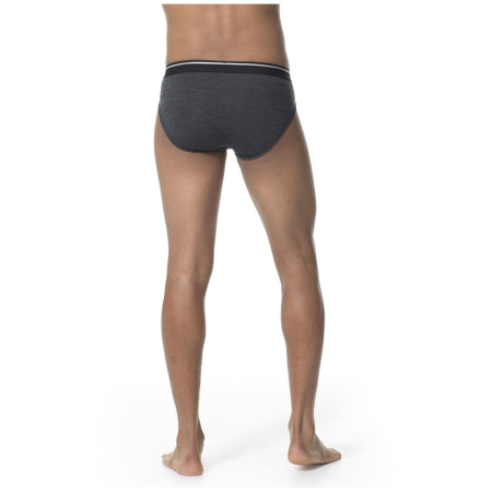 Herrenslips Icebreaker Mens Anatomica Briefs