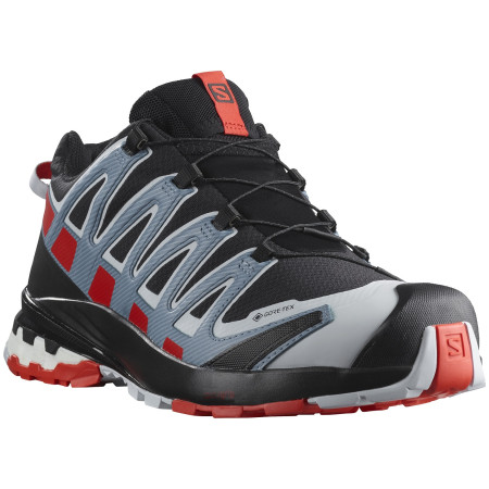Herrenschuhe Salomon Xa Pro 3D V8 GTX
