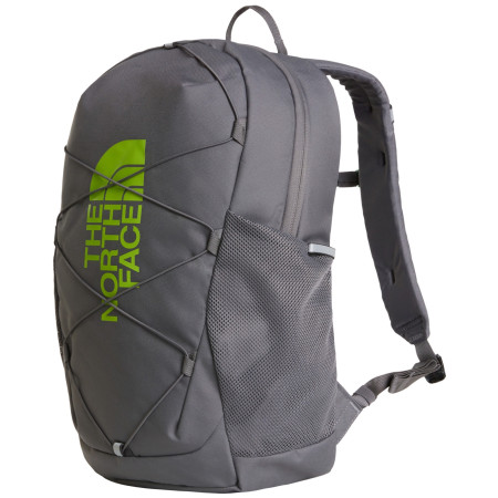 Schulrucksack für Oberstufe The North Face Y Court Jester