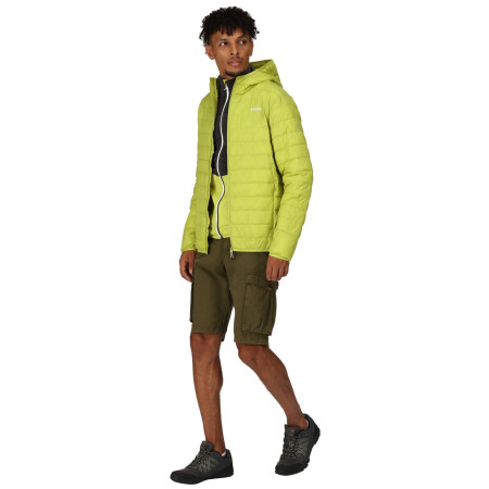 Herren-Winterjacke Regatta Hooded Hillpack