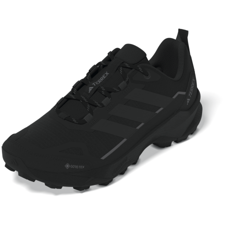 Wanderschuhe Adidas Terrex Skychaser Ax5 Gtx