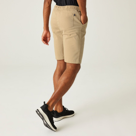Herrenshorts Regatta Aldan Short