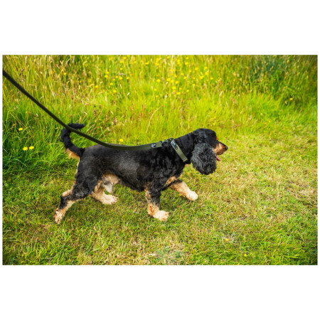Hundeleine Mountain Paws Extra Tough Dog Lead