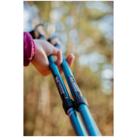 Nordic Walking Stöcke Warg Nordic Twistlock