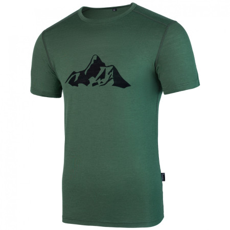 Herren-T-Shirt Warg Merino Mountain 165 Short Comfy grün Green