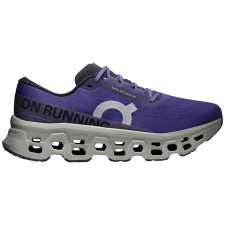 Herren Laufschuhe On Running Cloudmonster 3
