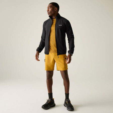 Herren-Sweatshirt Regatta Baslinn