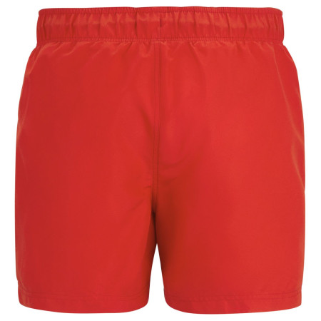 Herrenbadeanzug Regatta Mawson Swim Shorts III