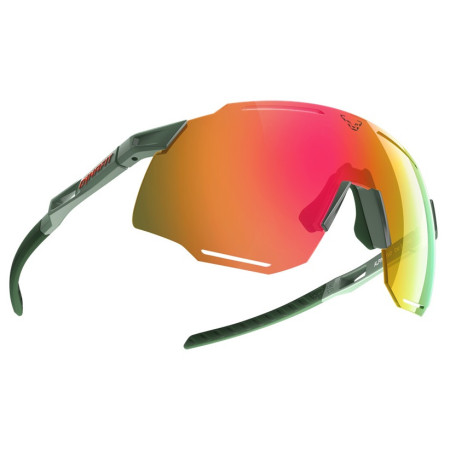 Sonnenbrille Dynafit Alpine Evo Sunglasses grün 5290 - sage / thyme CAT 3