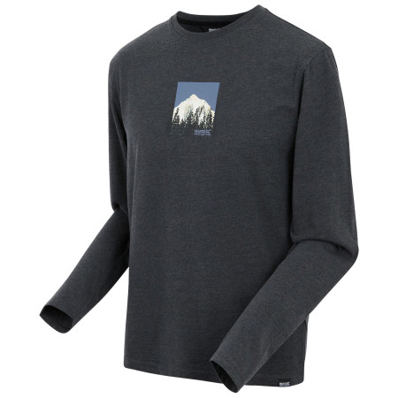 Herren-T-Shirt Regatta Maylow