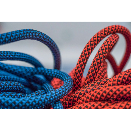 Seil Tendon Indoor 9,8 50m