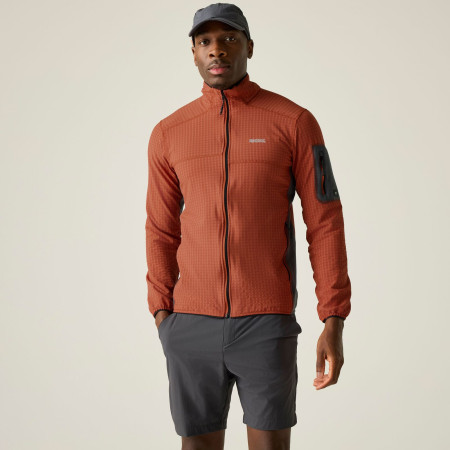 Herren-Sweatshirt Regatta Baslinn
