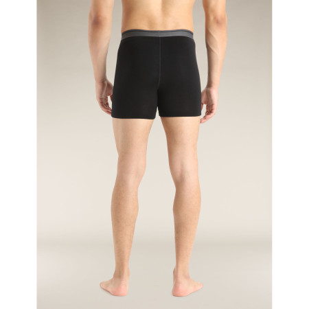 Herren-Boxershorts Icebreaker Mens Anatomica Boxers