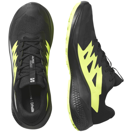 Herren Laufschuhe Salomon Alphaglide Gore-Tex