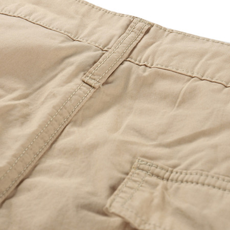 Herrenshorts Alpine Pro Urt