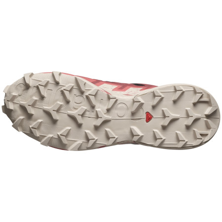 Damenschuhe Salomon Speedcross 6 Gore-Tex