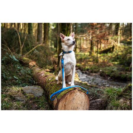 Hundeleine Mountain Paws Waterproof Dog Lead