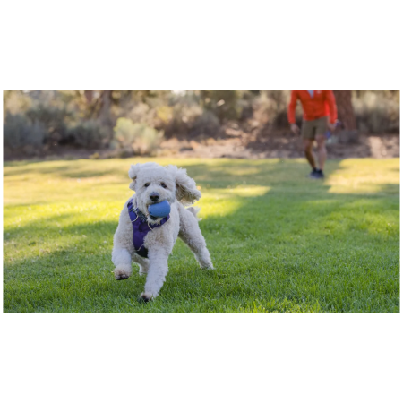 Hundespielzeug Ruffwear Huckama™ Toy
