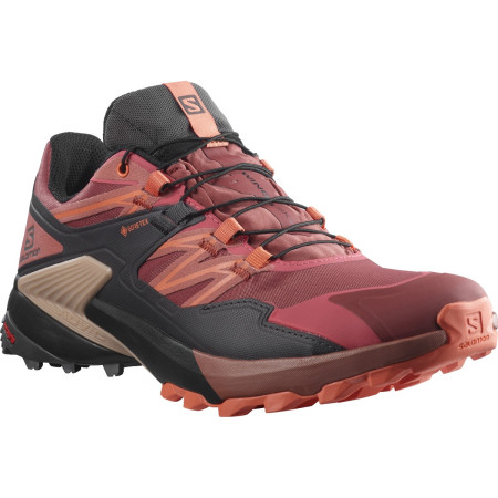 Damenschuhe Salomon Wings Sky Gore-Tex rot AppleButter