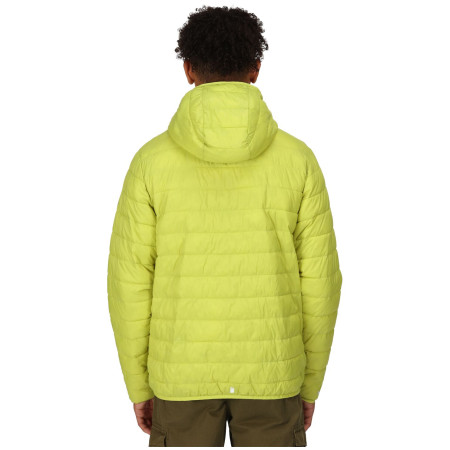 Herren-Winterjacke Regatta Hooded Hillpack