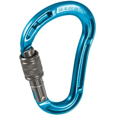 Karabiner Mammut Bionic HMS Screw Gate blau aqua
