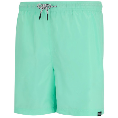 Herrenshorts Regatta Mackleyna Swim Short