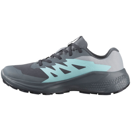 Damenschuhe Salomon Alphaglide Gore-Tex