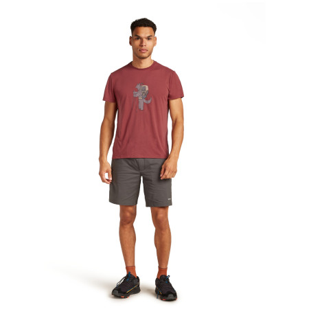 Herren-Funktionsshirt Icebreaker M Mer Core SS Tee Tech Head