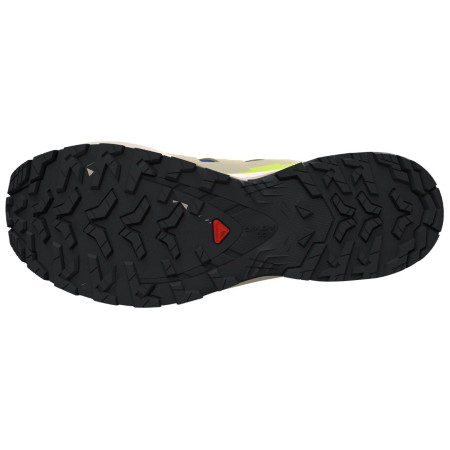 Herrenschuhe Salomon Xa Pro 3D V9