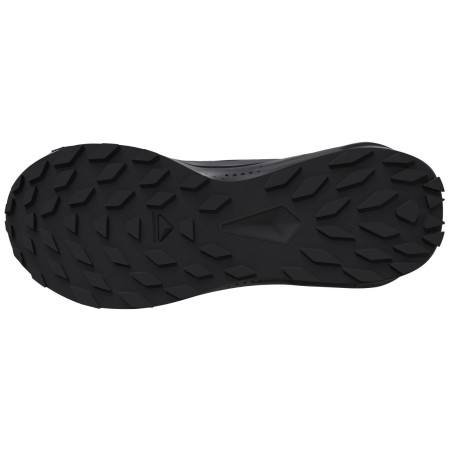 Damenschuhe Salomon Alphaglide Gore-Tex