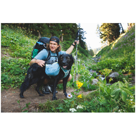 Hundegeschirr Ruffwear Palisades™ Pack