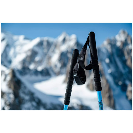 Skialp-Stöcke Black Crows Trios Freebird