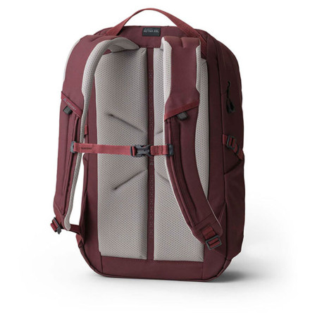 Rucksack Gregory Terros 28L