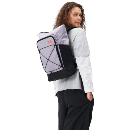 Rucksack Aevor Day Pack FLX Proof