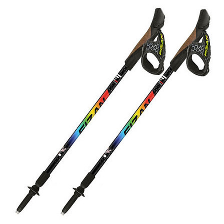 Kinder Nordic-Walking Stöcke Fizan NW Speed Junior mix1 rainbow