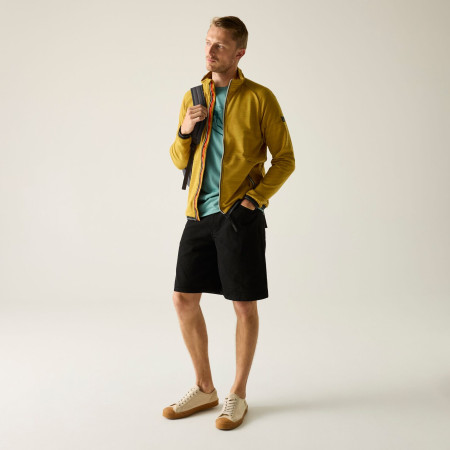 Herren-Sweatshirt Regatta Malton