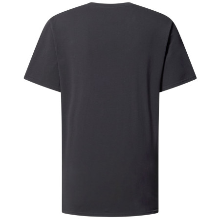 Herren-T-Shirt Haglöfs Outsiders Tee
