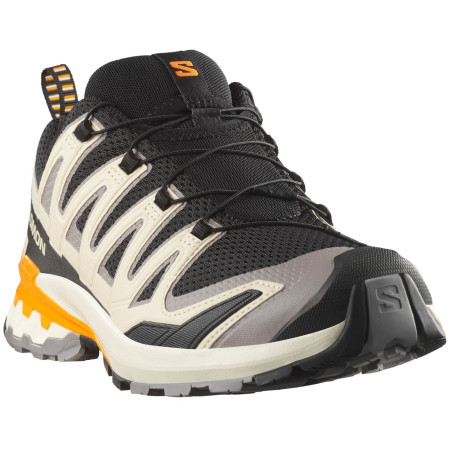 Herrenschuhe Salomon Xa Pro 3D V9