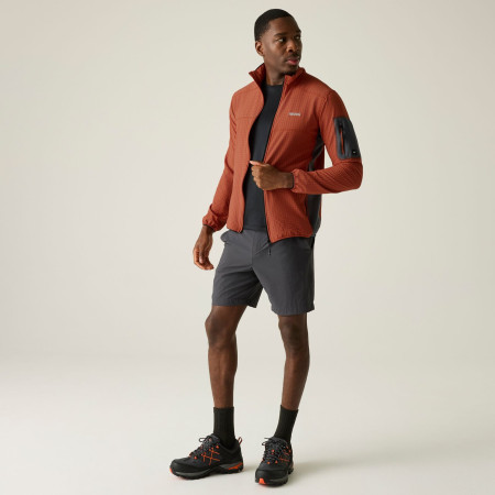 Herren-Sweatshirt Regatta Baslinn