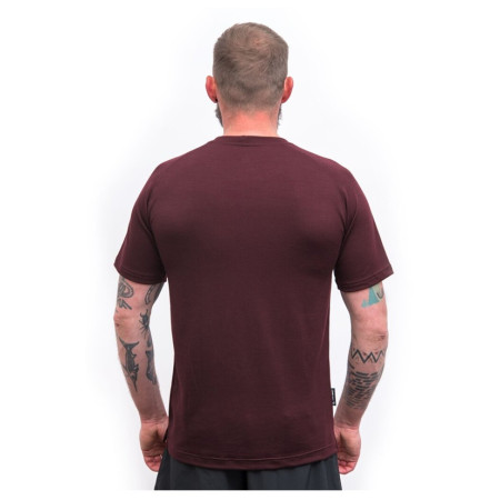 Herren-Funktionsshirt Sensor Merino Blend Elements