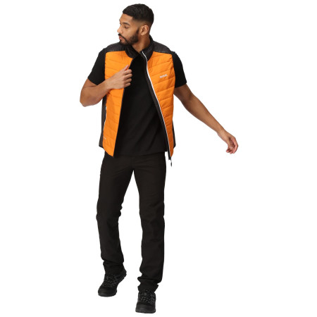 Herrenweste Regatta Halton B/W VII