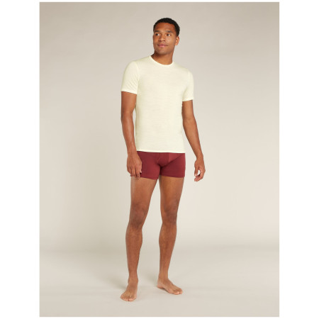 Herren-T-Shirt Icebreaker M Anatomica SS Crewe