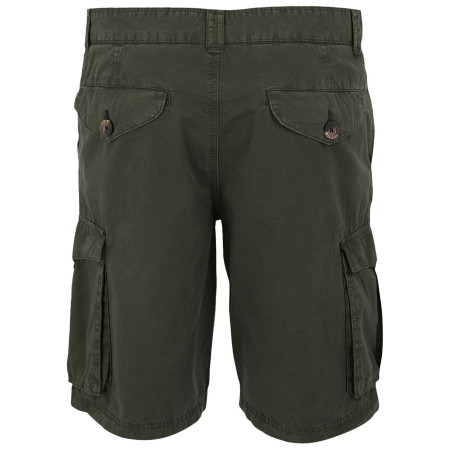 Herrenshorts Regatta Shorebay Shorts II
