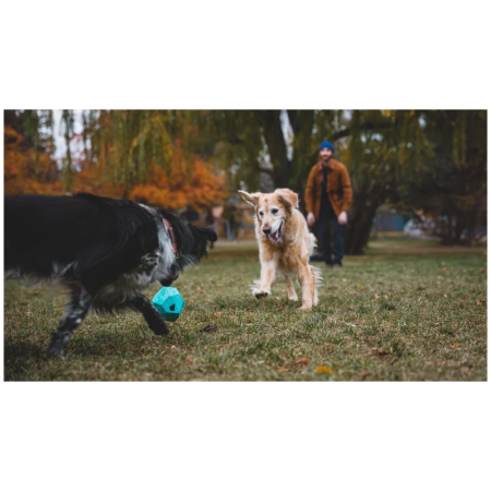 Hundespielzeug Ruffwear Gnawt-a-Rock™ Toy