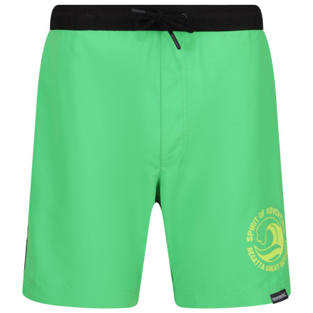 Herrenbadeanzug Regatta Bentham swim short grün Fairway Green/Black