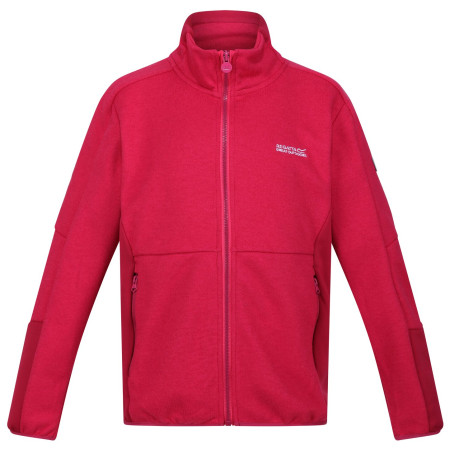 Kinder-Sweatshirt Regatta Jr Highton FZ IV rosa Berry Pink