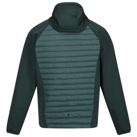 Herren-Winterjacke Regatta Andreson VII Hybrid