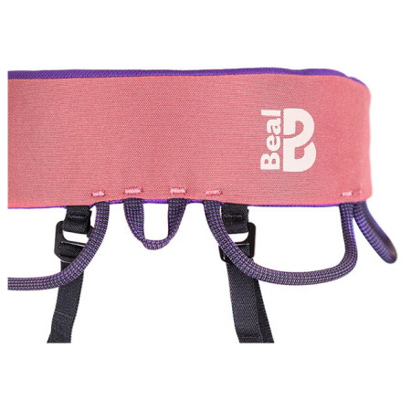 Klettergurt Beal Trinity